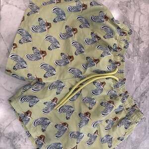 Posh Peanut Men’s Large swim trunks